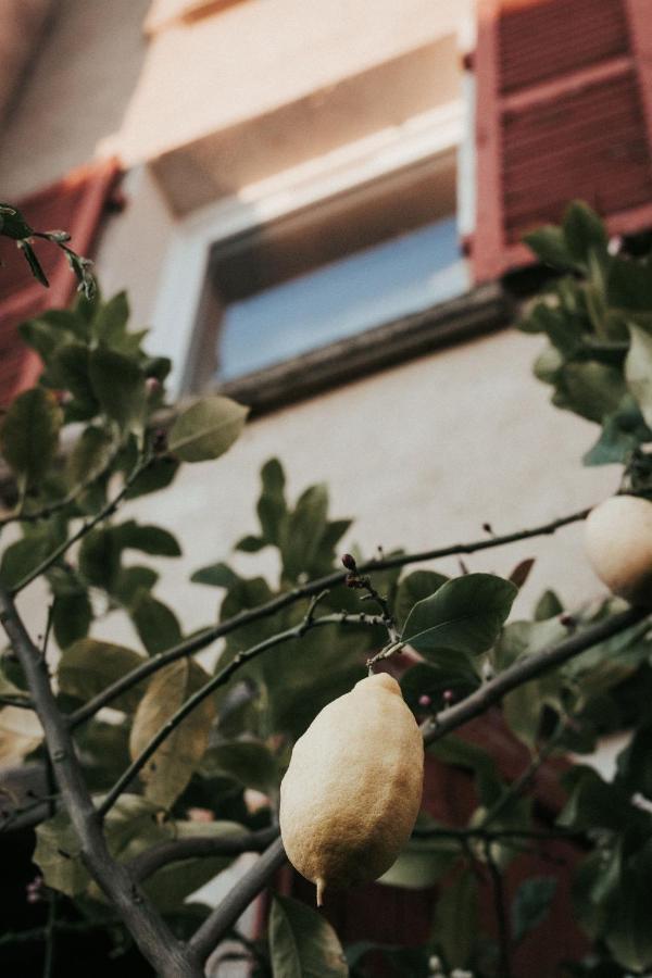 La Maison Perchee ティエール エクステリア 写真